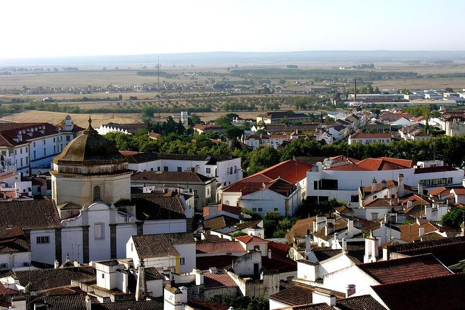 Évora Private Tour - Cork Factory Visit & Wine Tasting Included - Azaruja cork factories: what cork really turns into