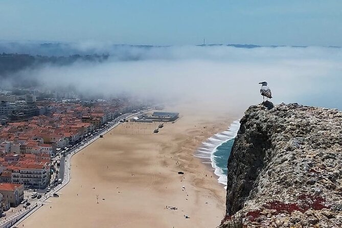 Excursion from Lisbon to Fátima Grutas Nazaré and Óbidos - Entering the route: why this Lisbon-to-the-Coast day trip works