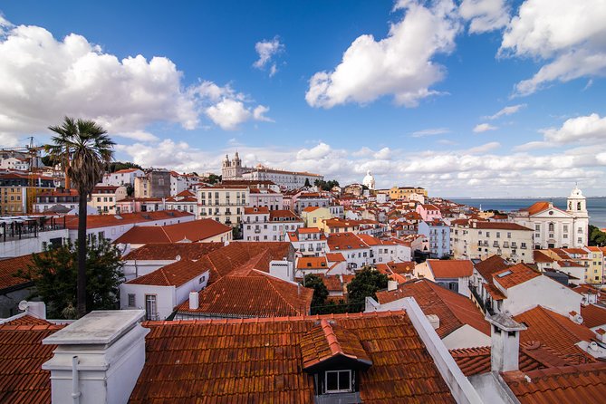 Explore Lisbon City on a private half-day tour in a van - Largo do Carmo to Santa Justa: Earthquake Marks and the Best First Views