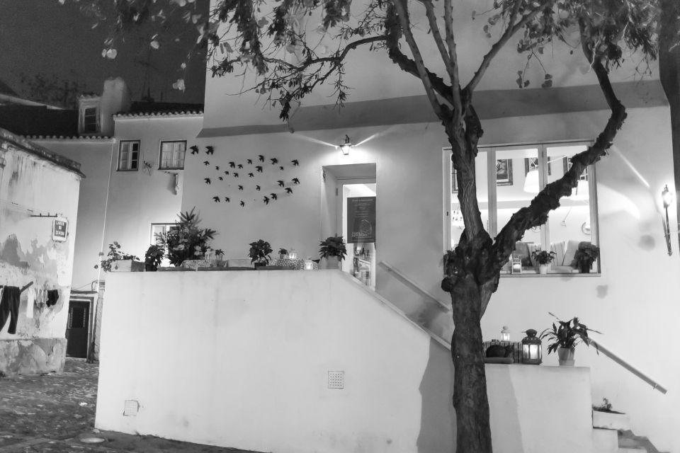 Fado: Musical Walking Tour with Food & Live Show - Inside authentic fado houses: context beats a stage show