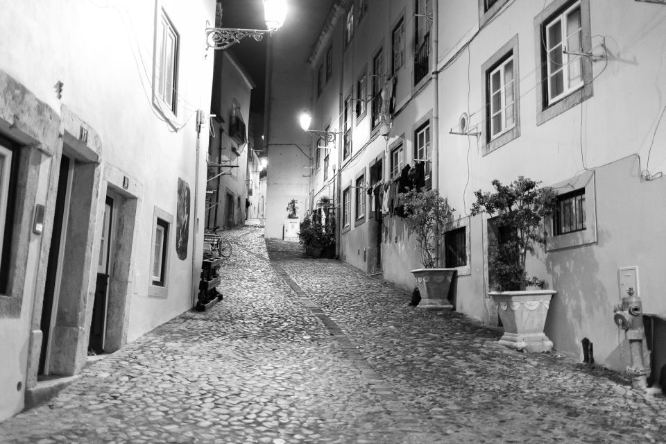 Fado: Musical Walking Tour with Food & Live Show - Practicalities that help you enjoy it more