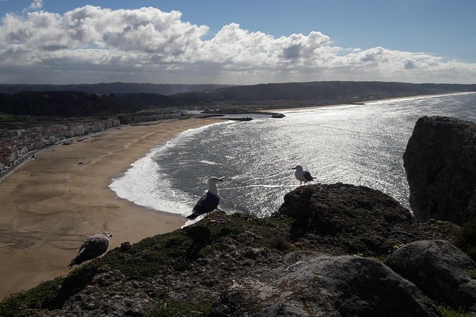 Fátima, Batalha, Nazaré and Óbidos day Tour - Guide-Led Comfort: Why You Spend Less Time Waiting Around