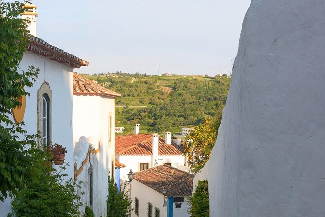 Fatima, Batalha, Nazaré & Óbidos Private Luxury Tour - What to expect from the transport and schedule