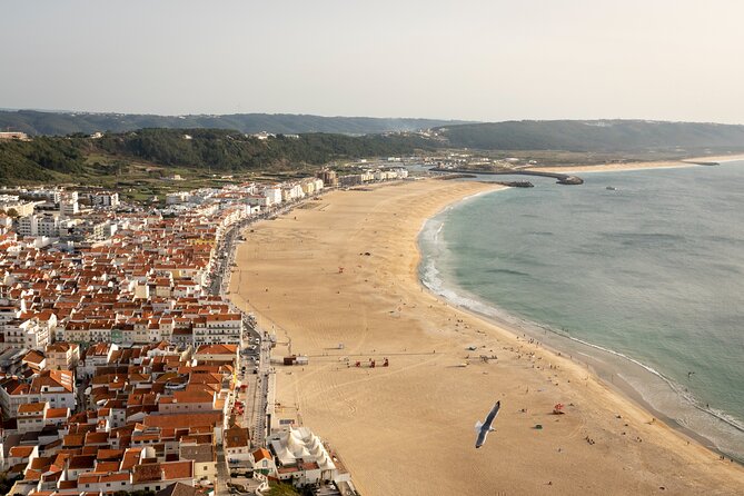 Fatima Sanctuary, Pena Palace & Nazare's Big Wave from Lisbon - Price and What You’re Actually Paying For ($422.07)