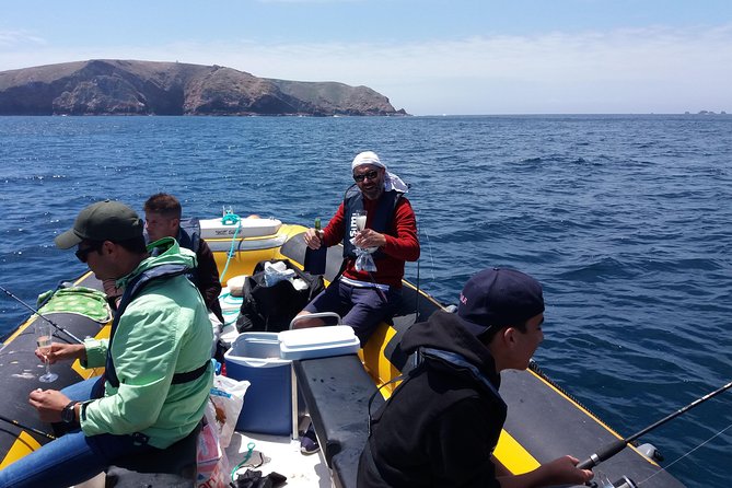 Fishing Boat Rental - The dolphin and Berlengas factor: what you might see (and what to expect)