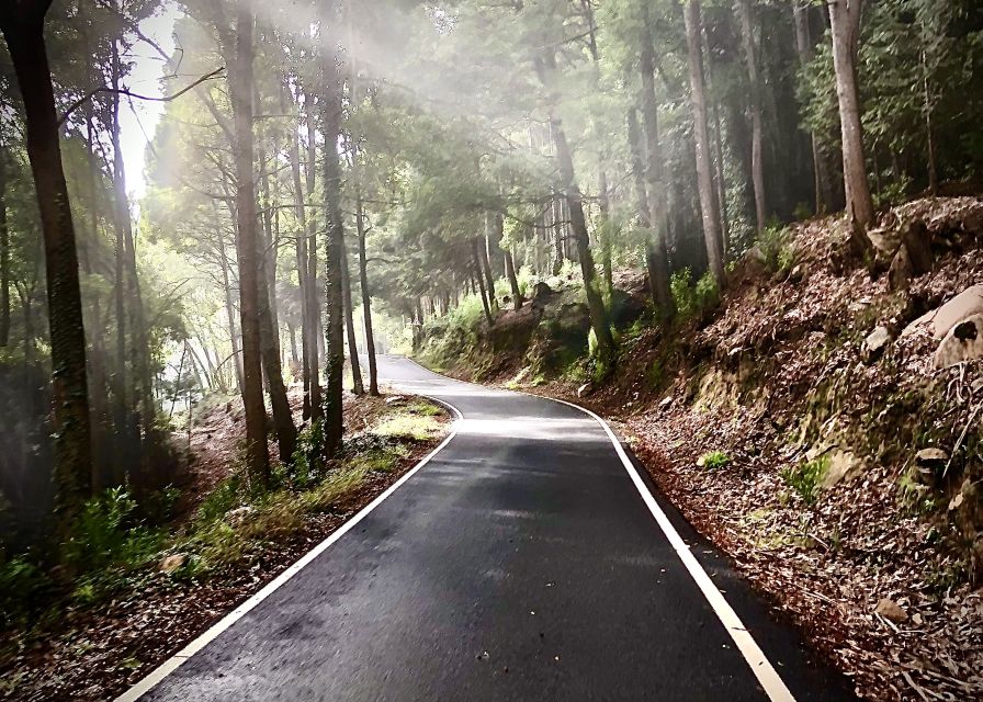 From Cascais: Sintra Guided E-Bike Tour & Guincho Beach - Boca do Inferno and Cascais Old Town: The Classic Finisher