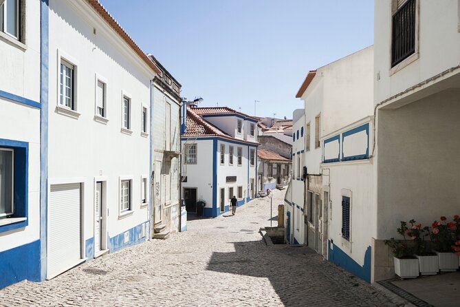 From Lisboa: Mafra, Ericeira & Queluz Small-Group Full Day Tour - Queluz National Palace and Gardens: The 18th-Century Portuguese Versailles Feeling