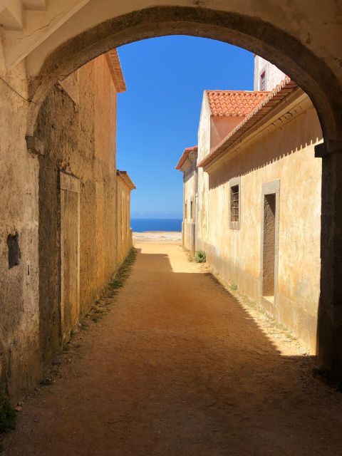 From Lisbon: Arrábida, Azeitão, Sesimbra, Palmela, Setúbal … - Wine Cellars You’ll Actually Remember: José Maria da Fonseca or Bacalhoa