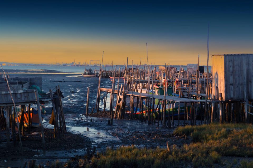 From Lisbon: Arrábida, Azeitão, Sesimbra, Palmela, Setúbal … - Sesimbra’s Fishermen’s Village: Cobblestones, Alleys, and Local Pace