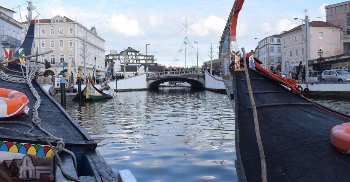 From Lisbon: Aveiro and Coimbra Food Experience - Key highlights worth marking on your day
