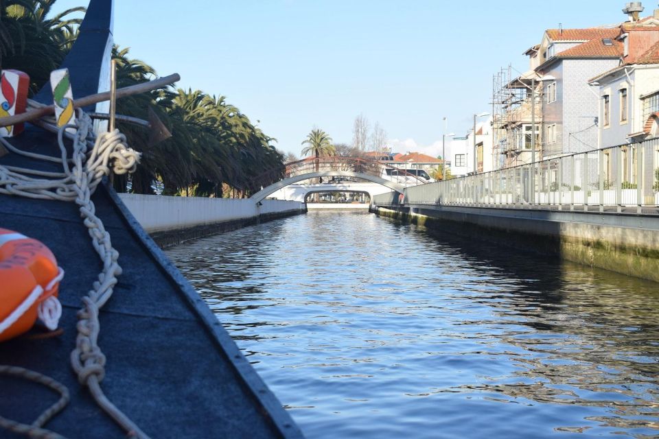 From Lisbon: Aveiro and Coimbra Food Experience - Choosing between Costa Nova Beach and Aveiro’s monuments