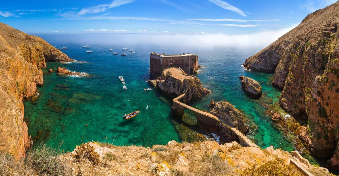 From Lisbon: Berlenga Grande Island Private Tour - From Lisbon pickups to Peniche by electric car: the day starts easy