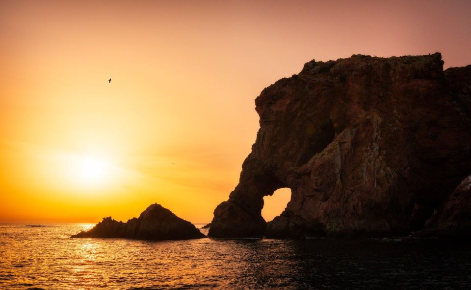 From Lisbon: Berlenga Grande Island Private Tour - Berlenga Grande island time: nature reserve paths, viewpoints, and free wandering