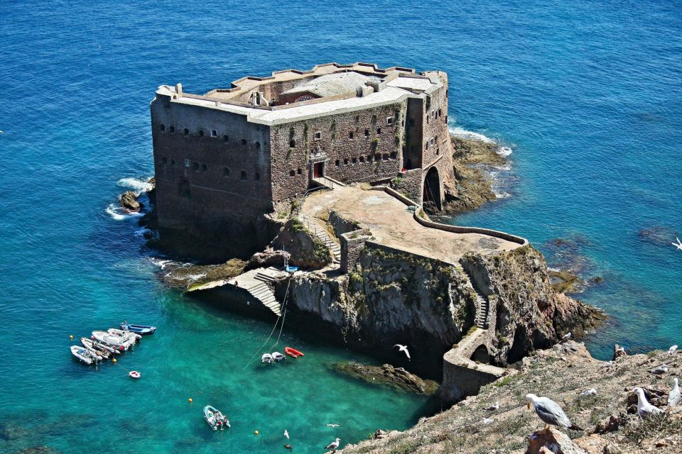 From Lisbon: Berlenga Grande Island Private Tour - Price and value: is $222 per person worth it?