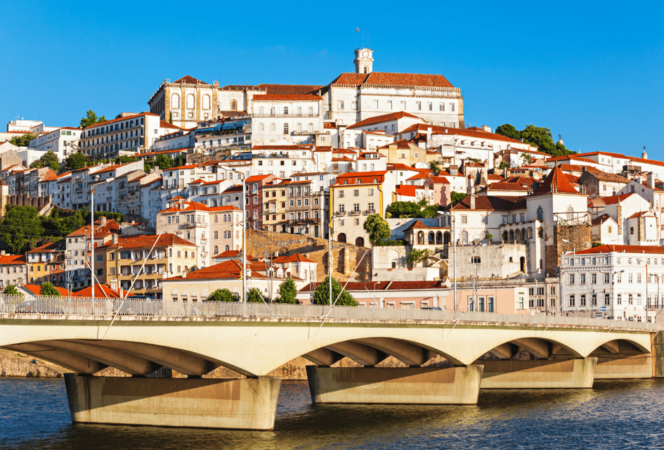 From Lisbon: COIMBRA and AVEIRO - Aveiro’s Canals and Art Nouveau Details on a Moliceiro Boat Ride