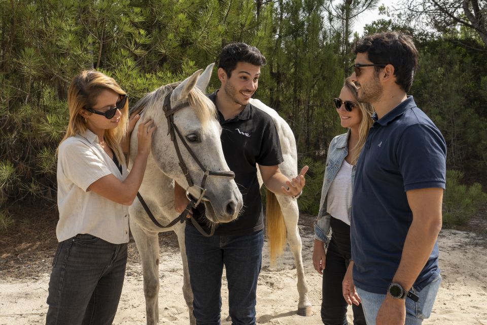 From Lisbon: Comporta and Setúbal Trip with Horseback Riding - Should you book this Lisbon-to-Comporta tour?