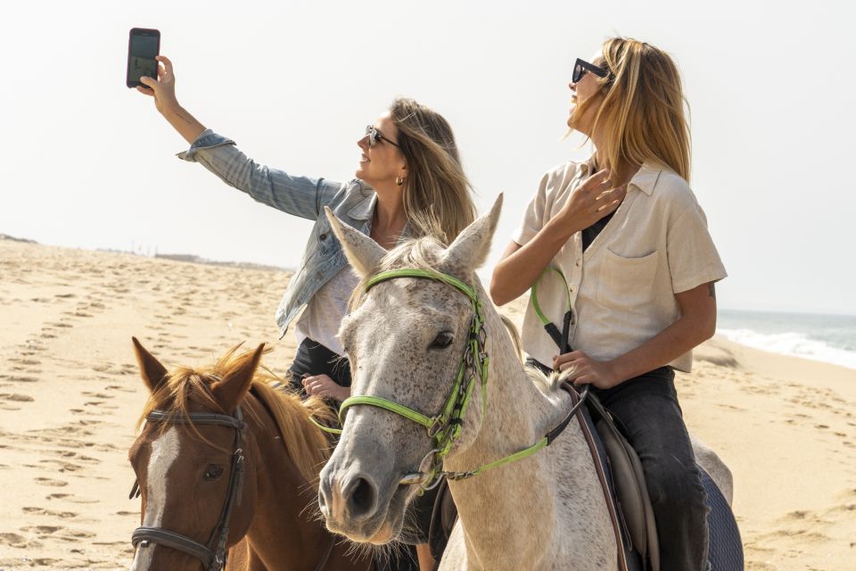 From Lisbon: Comporta and Setúbal Trip with Horseback Riding - The Troia ferry ride: sand dunes, pine trees, and a chance at dolphin spotting