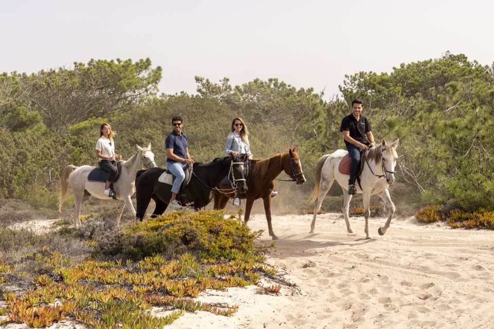 From Lisbon: Comporta and Setúbal Trip with Horseback Riding - Comporta horseback riding: rice fields, pine woods, dunes, then the beach