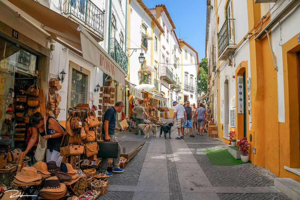 From Lisbon: Évora City Private Tour - Price and logistics: when $409 per group is a smart deal