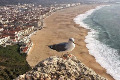 From Lisbon: Fatima Batalha Nazare & Obidos Small Group Day Trip - Fátima Sanctuary: Where the Time Feels Like a World Apart