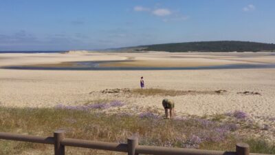 From Lisbon: Half-Day Arrábida Tour w/ Transfers - Lisbon Pickup to Arrábida Views: The Pace and What to Watch for