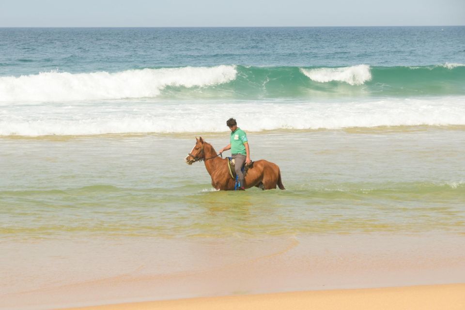 From Lisbon: Horseback Riding on Comporta Beach - Key things that make this Comporta beach ride worth it