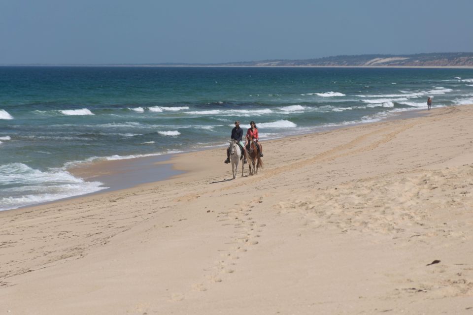 From Lisbon: Horseback Riding on Comporta Beach - Price and value: is $165 worth it?