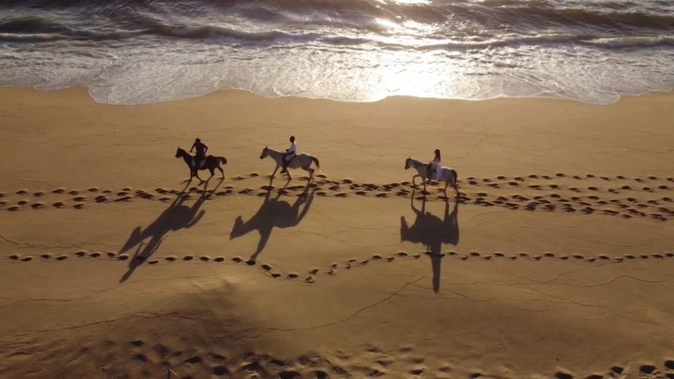 From Lisbon: Horseback Riding on Comporta Beach - The Atlantic Forest start: where the ride becomes confidence-building