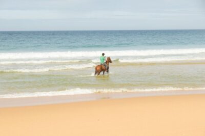 From Lisbon: Horseback Riding on Comporta Beach - Getting there from Lisbon: timing and the reality of the drive