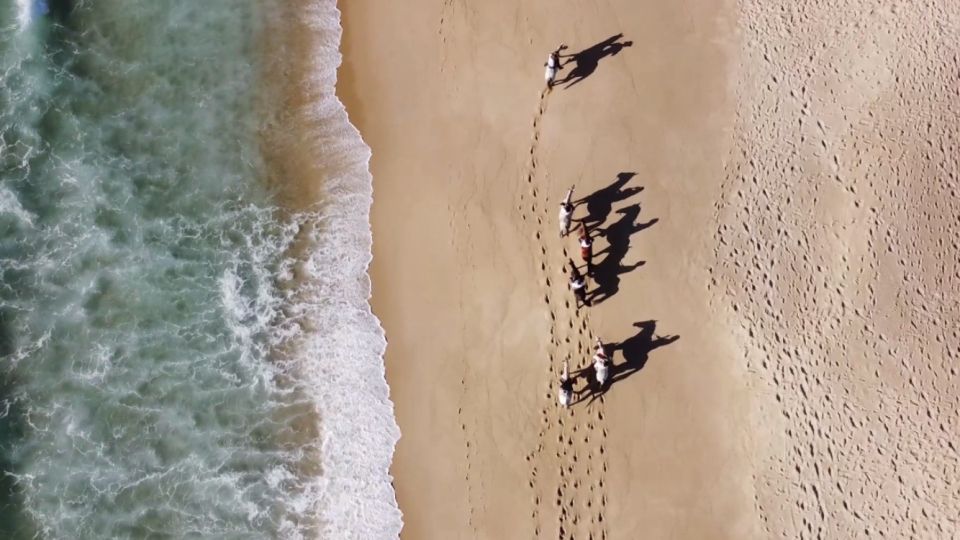 From Lisbon: Horseback Riding on Comporta Beach - Choosing a horse (and why the Lusitano detail matters)