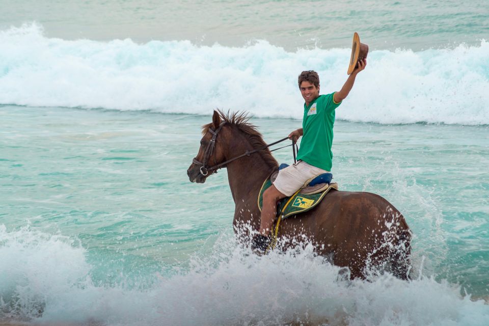 From Lisbon: Horseback Riding on Comporta Beach - The dunes and the beach: your 40-mile (65 km) kind of view