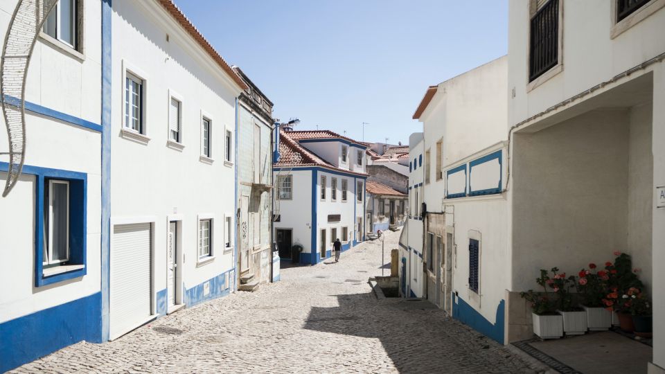 From Lisbon or Cascais: Mafra, Ericeira, and Queluz Day Tour - Who This Tour Suits Best (and Who Should Think Twice)