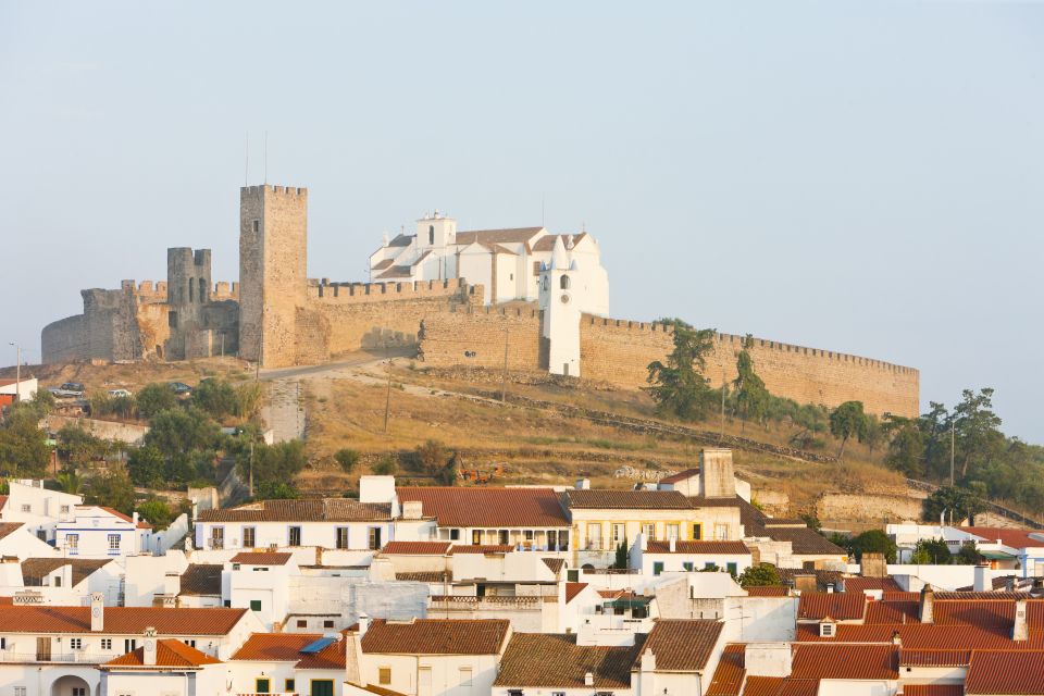 From Lisbon: Private Customized Small-Group Tour to Evora - What you might add: cork processing and wine in the Évora area