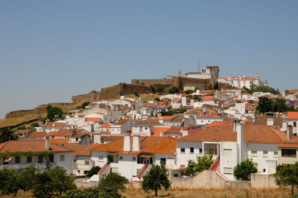 From Lisbon: Private Customized Small-Group Tour to Evora - Price and value: what you’re paying for (and what you’re not)