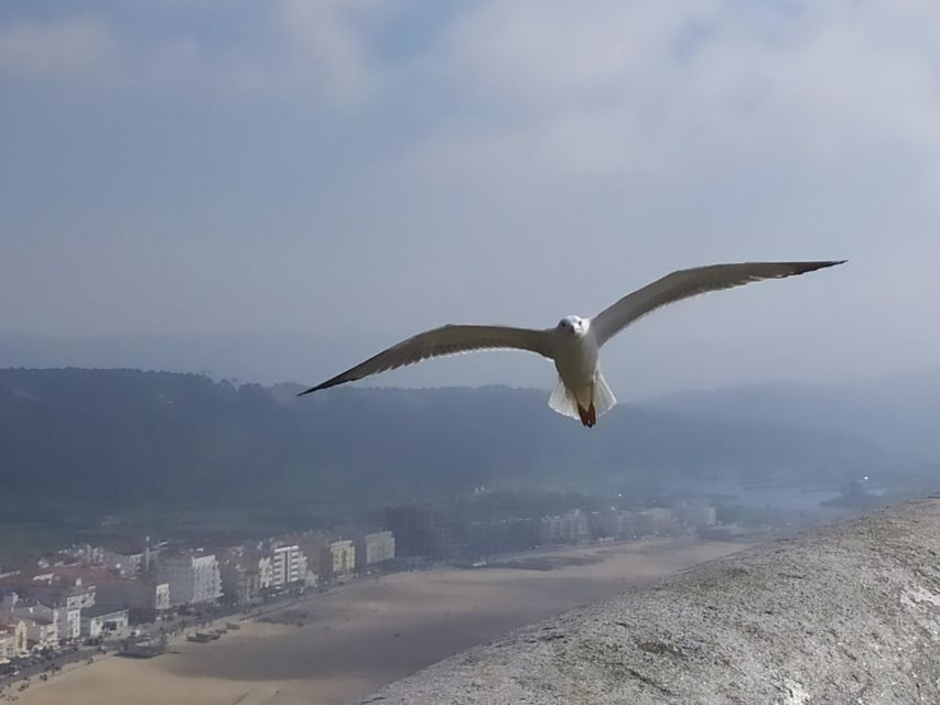 From Lisbon: Private Óbidos and Nazaré Tour - Timing That Works (and the One Place You Might Want More Minutes)