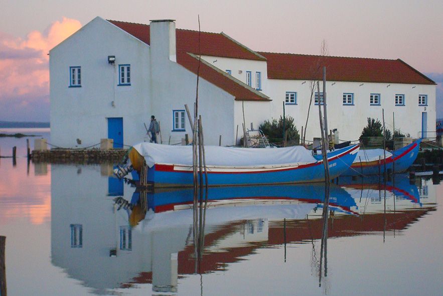 From Lisbon: Private Scenic Wine Tour in Arrabida - Setúbal’s Livramento Market: A Real Local Food Moment