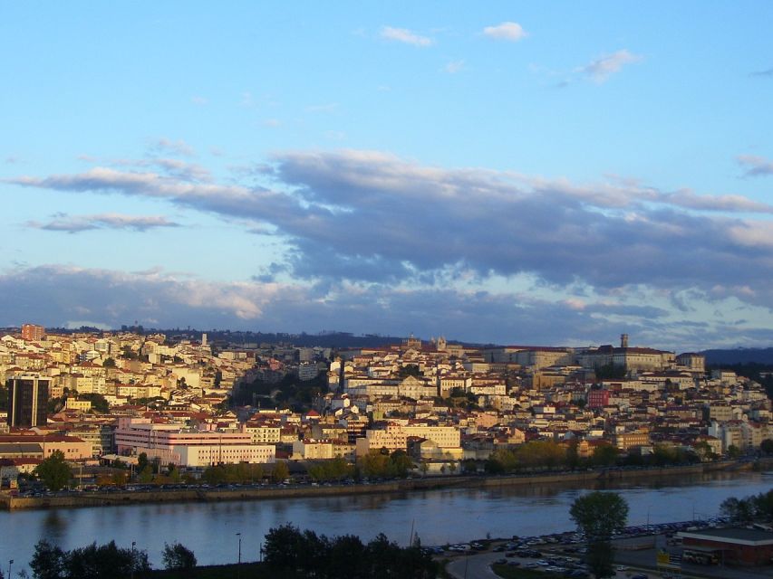 From Lisbon: Private Transfer to Porto with City Stops - Porto arrival: turning the day into an easy next step