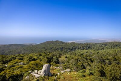 From Lisbon: Sintra, Pena Palace and Regaleira - Pena Palace: exterior terraces, wall walk, and that extra €10 garden ticket