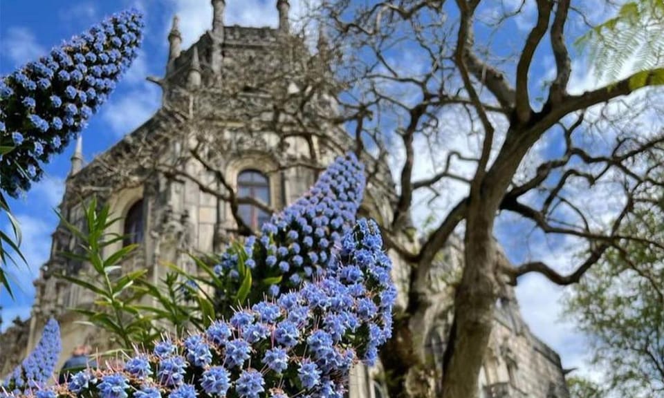 From Lisbon: Sintra, Pena Palace and Regaleira Day Trip - Price and Value: What the $64 Covers, and What Comes Extra