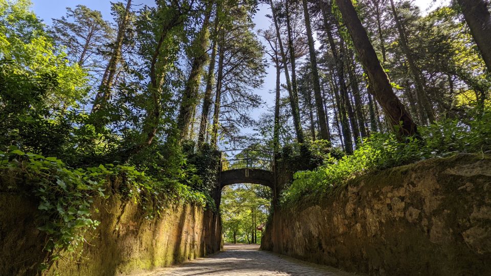 From Lisbon: Sintra Pena Palace Cascais 8-People Group Tour - Transportation, group size, and the feel of the day