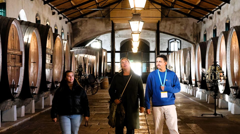 From Lisbon: Sintra, Pena Palace, Cascais and Wine Tasting - Key things that make this tour work