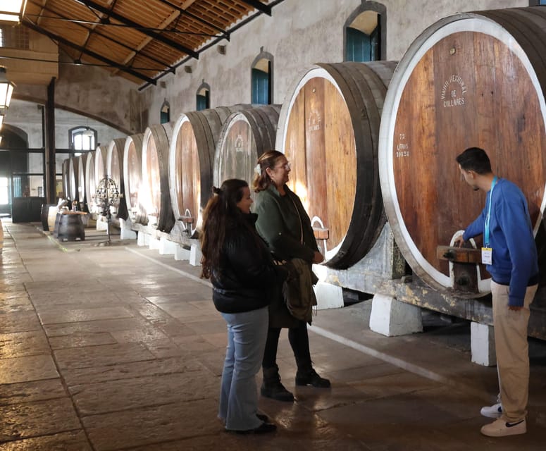 From Lisbon: Sintra, Pena Palace, Cascais and Wine Tasting - Starting in Lisbon: Parking your day at Parque Eduardo VII