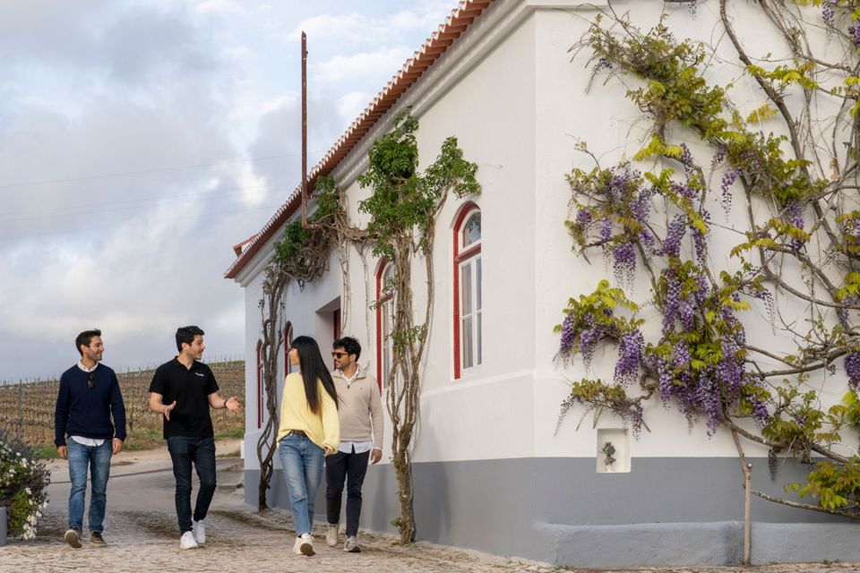 From Lisbon: Sintra & Pena Palace Day Trip with Wine Tasting - Pena Palace surroundings: what you’re really paying for