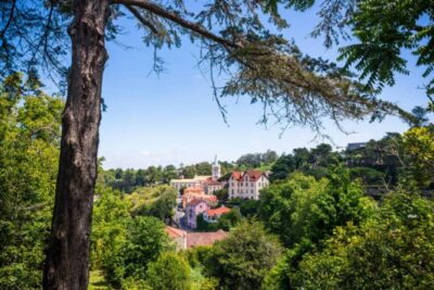 From Lisbon: Sintra, Pena Palace & Wine Tasting Small-Group Tour - Sintra’s UNESCO core: how to use your free hour well