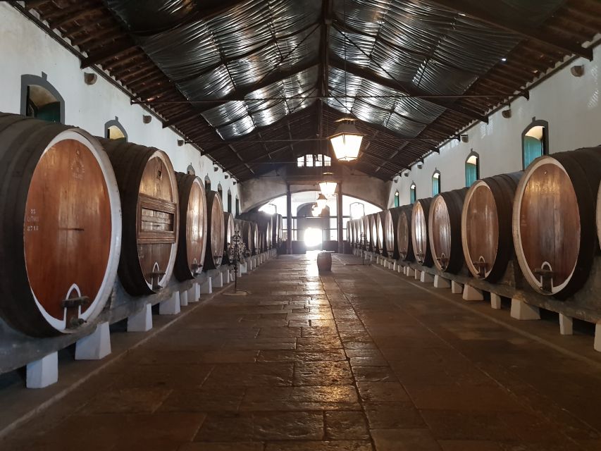 From Lisbon: Sintra Wine Experience - First stop: getting your bearings in historic Sintra