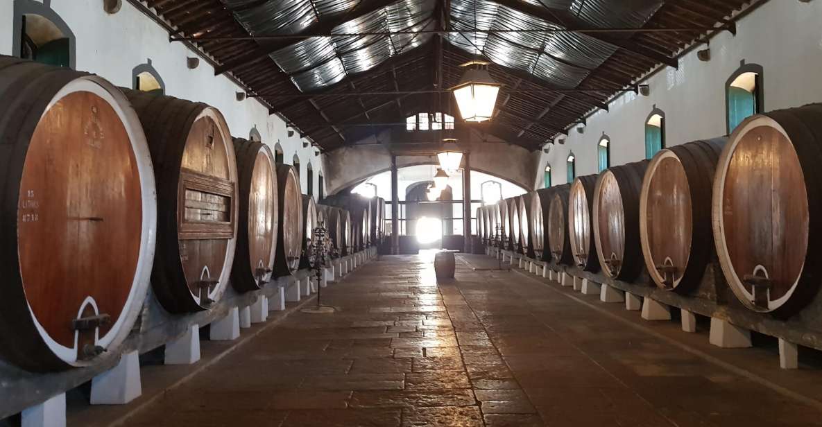 From Lisbon: Sintra Wine Experience - Azenhas do Mar and Praia da Maçãs: coast views that actually make sense