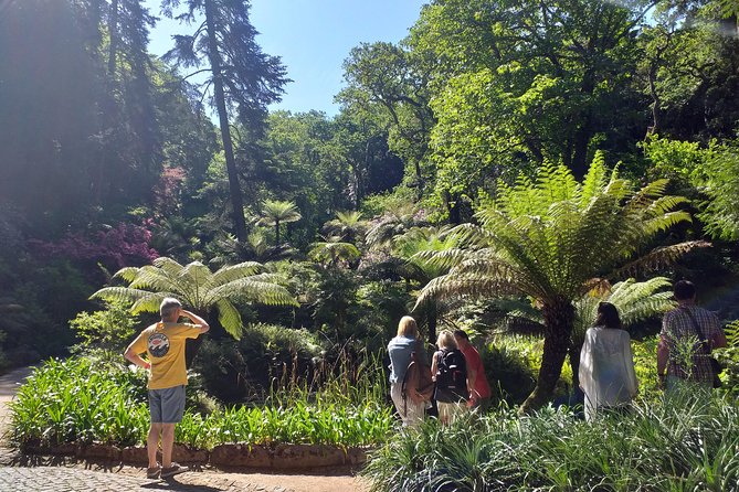 From Lisbon: Sintra's Historical and Natural Gems - Practical tips that keep this day comfortable