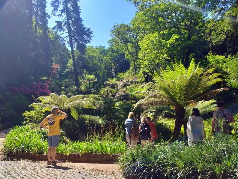From Lisbon: Sintra's Historical and Natural Gems - Who should book this Sintra itinerary (and who might not)