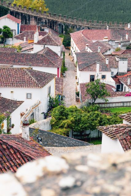 From Lisbon: Tansfer to Porto with stops until 3 cities - Aveiro: canals, colorful boats, and the Moliceiro cruise