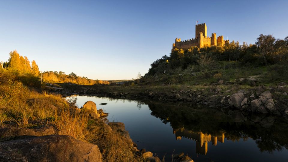 From Lisbon: Tomar, Christ Convent & Almourol Castle Tour - Pace, group size, and guide style